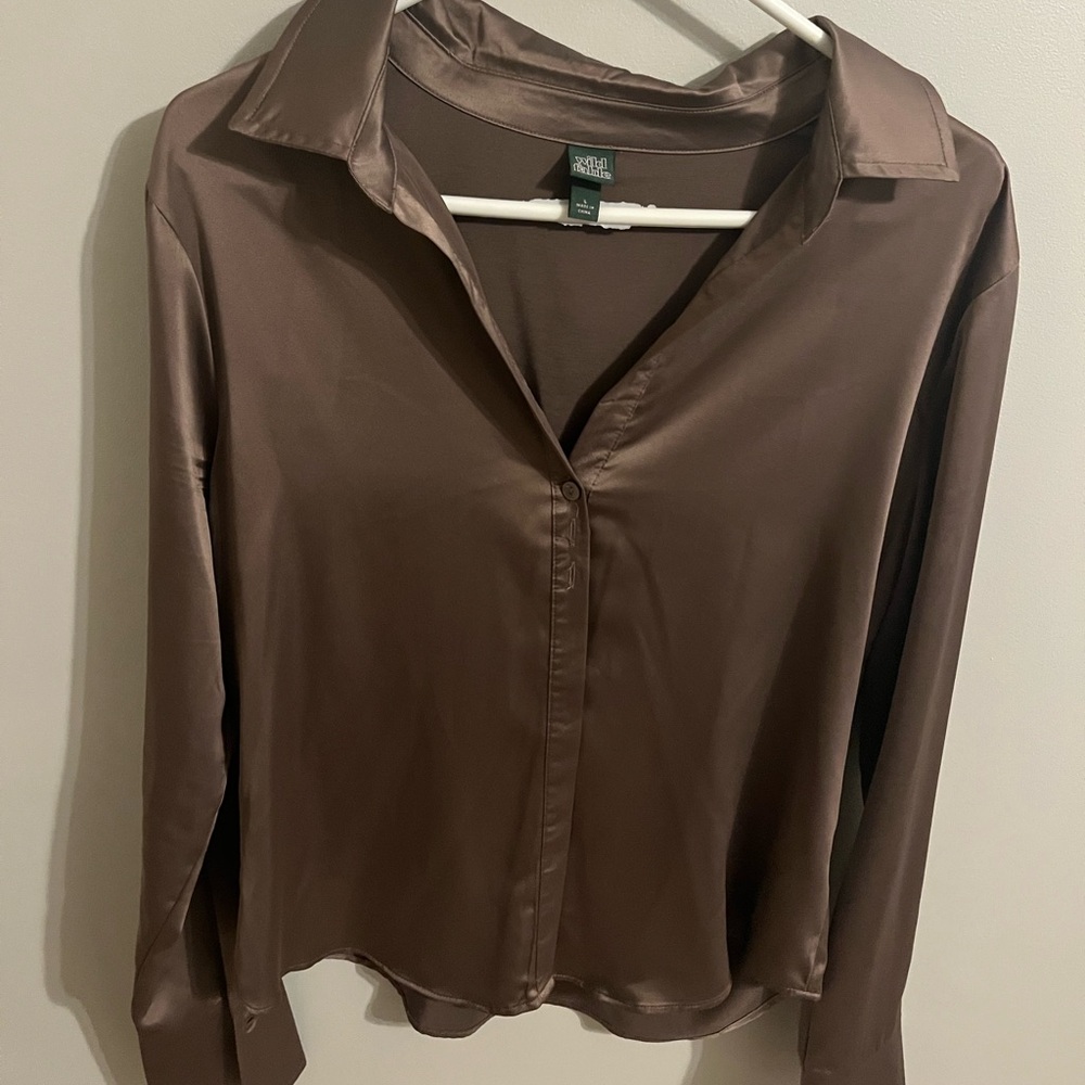 Brown Satin Blouse